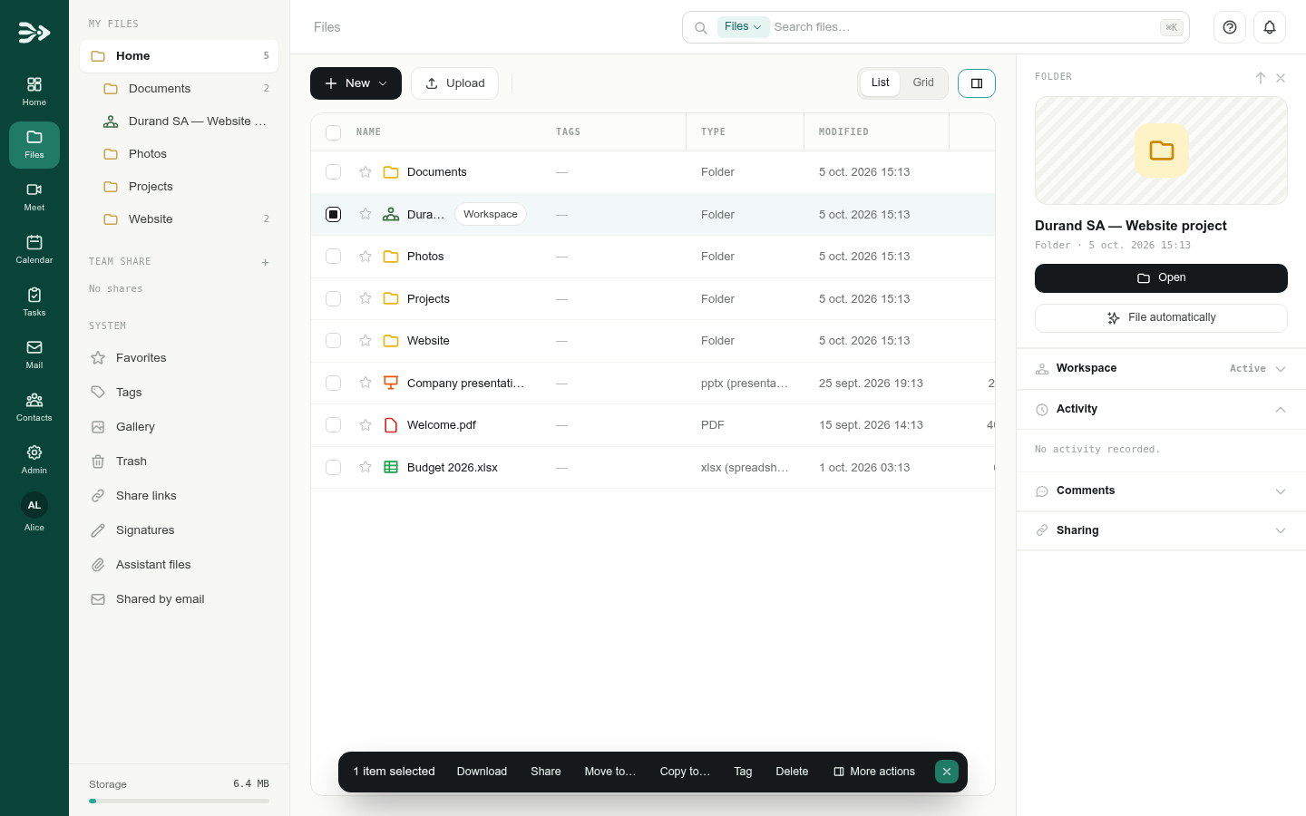 A workspace in Files, with its Workspace tag and the details panel